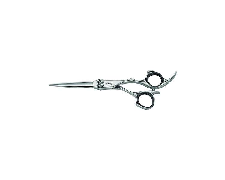 E-Kwip Galaxy Hairdressing Scissors 5.5-Inch Size 0.06kg