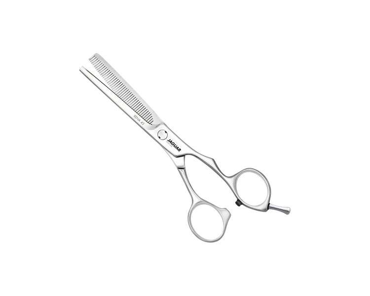 Xena 43 6.0 Modeling Scissors