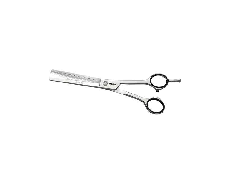 Jaguar Silver Ice Modelling Scissors 6.5 inch