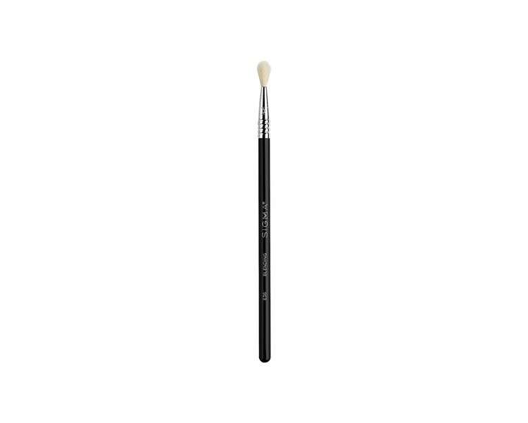 Sigma Beauty E36 Blending Brush Precision Blending Brush for Corner Eyelids and Small Areas of the Eye