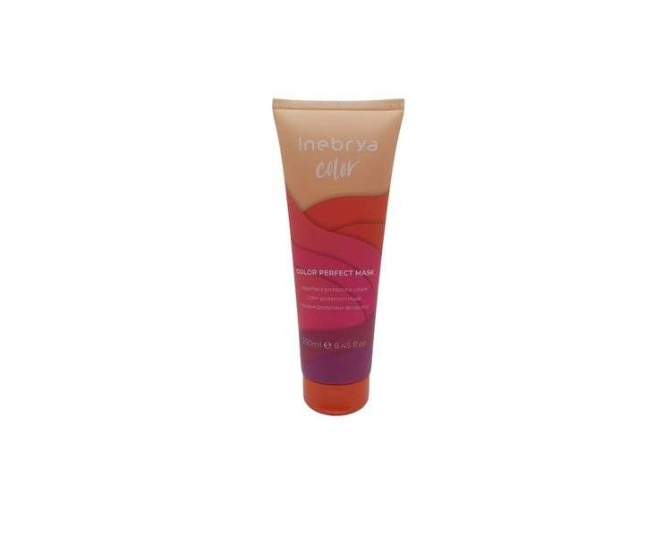 INEBRYA COLOR Color Protection Mask 250ml