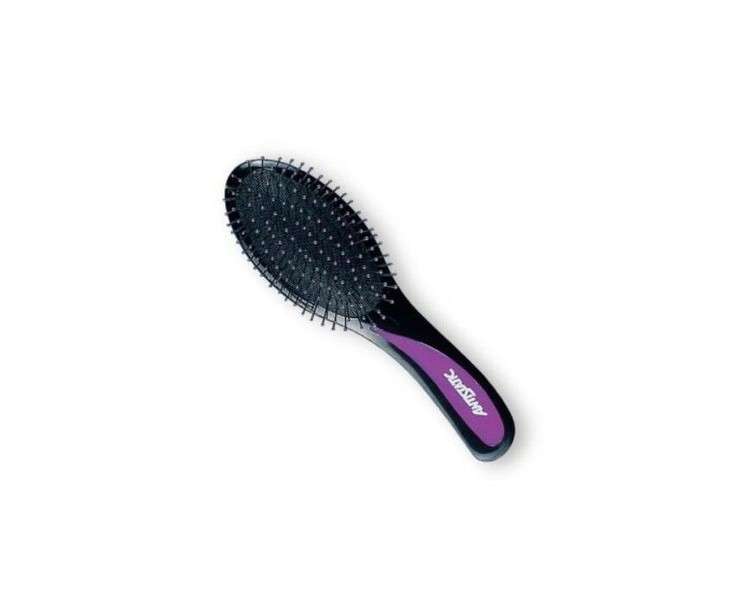 Top Choice Popular Hairbrush 2731