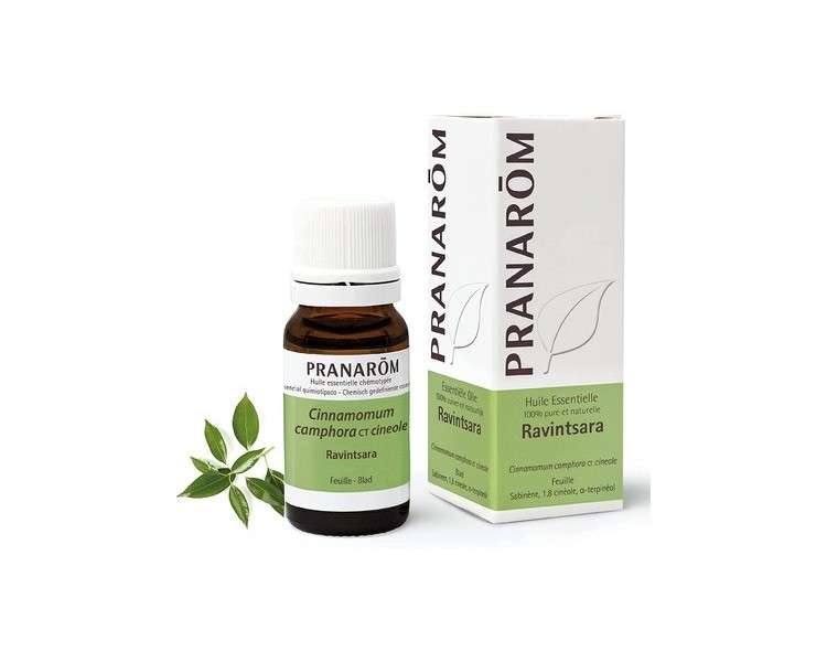 Pranarôm Ravintsara Essential Oil 10ml