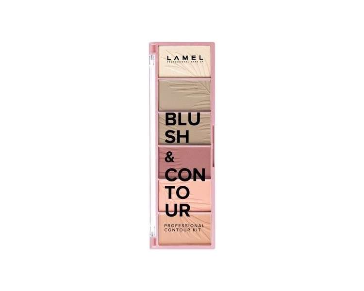 Six Colors Blush and Contour Kit All in One Number 03