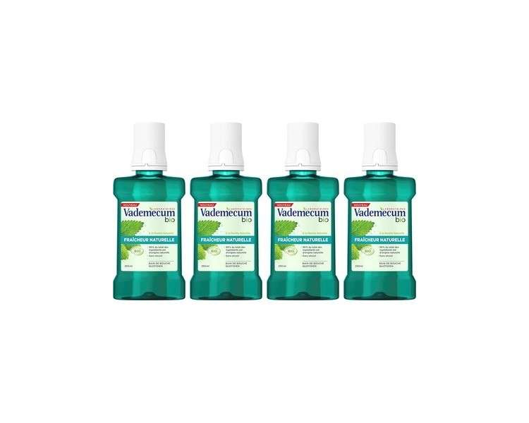 Vademecum Bio Natural Mint Freshness 250ml