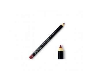 Professional Lip Pencil N. 46 Mauve Dimension