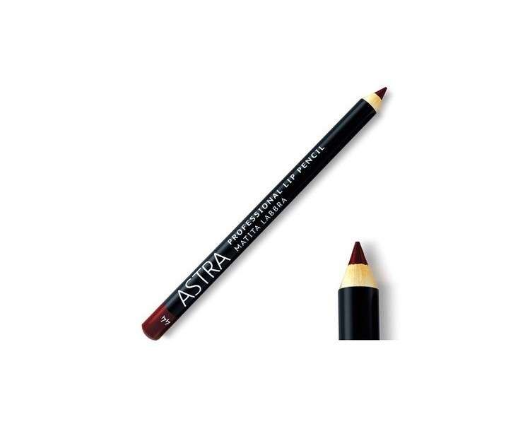 Professional Lip Pencil N. 44 Brick Kick