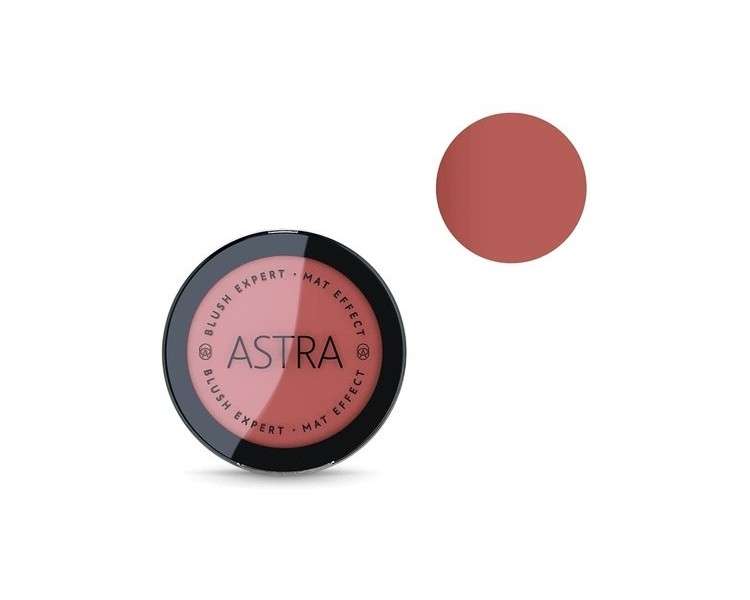 Astra Make-Up Blush 06 Absolute