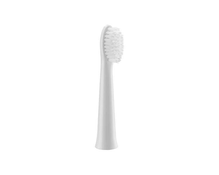 Panasonic WEW0972W503 Replacement Brush for EW-DM81