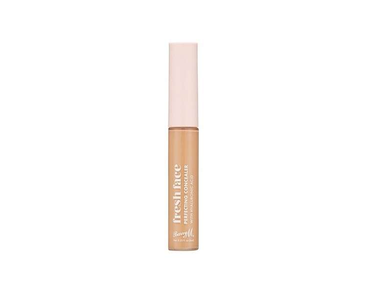 Fresh Face Perfecting Concealer with Hyaluronic Acid Shade 6 6ml