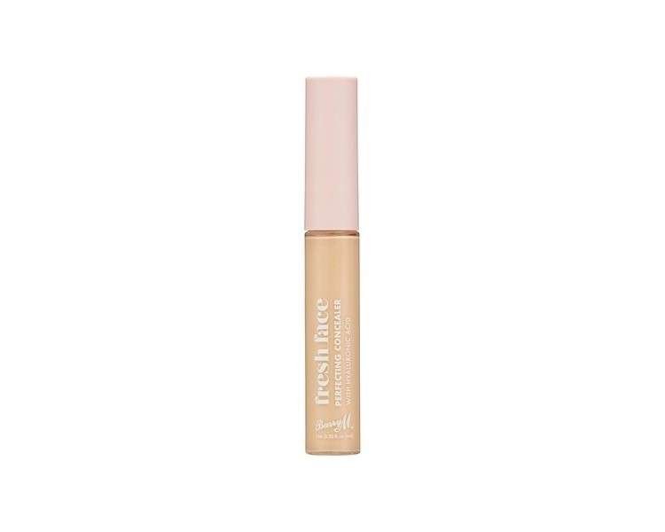 Fresh Face Perfecting Concealer with Hyaluronic Acid Shade 3 18ml