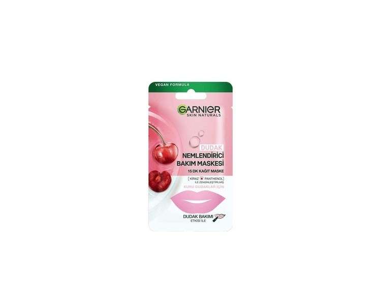 Garnier Skin Naturals Replump Filling Textile Lip Mask 5g