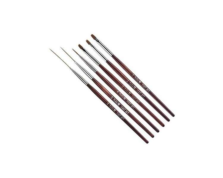 6 Nail Art Decoration Brushes