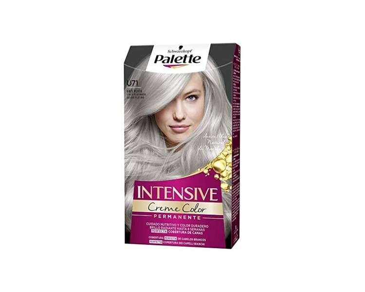 Palette Intensive U71 Frosty Silver Hair Color