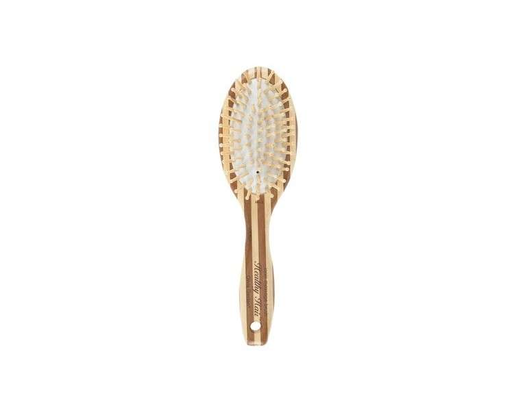 Olivia Garden Healthy Hair Oval HH3 Ionic Massage Hairbrush