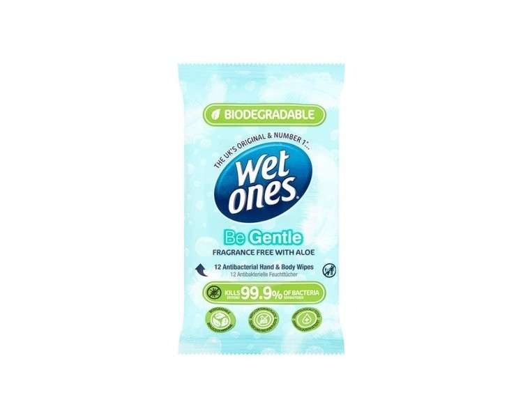 Wet Ones Be Gentle Antibacterial Hand & Body Wipes 12 Wipes