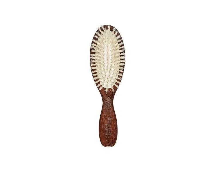 Christophe Robin Travel Hairbrush