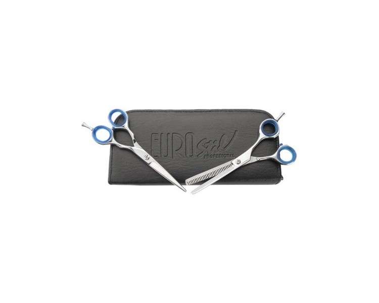 EUROstil Academy Case 2 Micro DENT Brillo Scissors