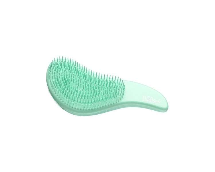 Eurostil Plastic Bristle Brush with Comb 1 Unit