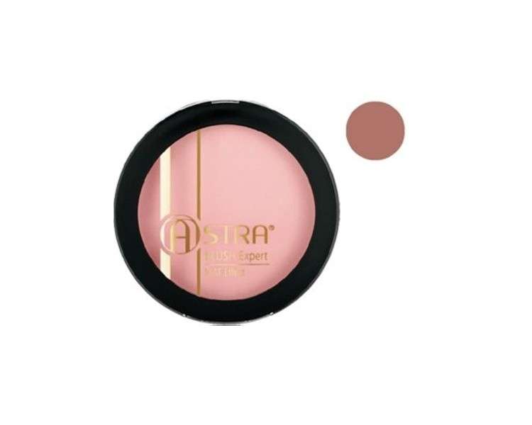 Blush Expert Mat Effect 04 Nude Caresse