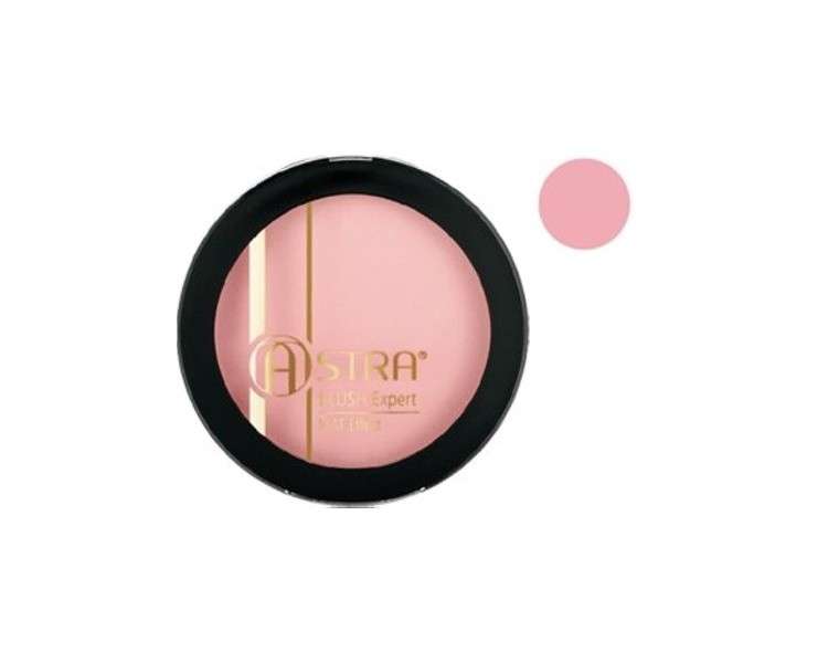 Blush Expert Mat Effect 01 Nude Rose