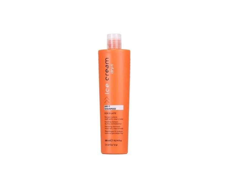 Inebrya Dry-T Shampoo 300ml