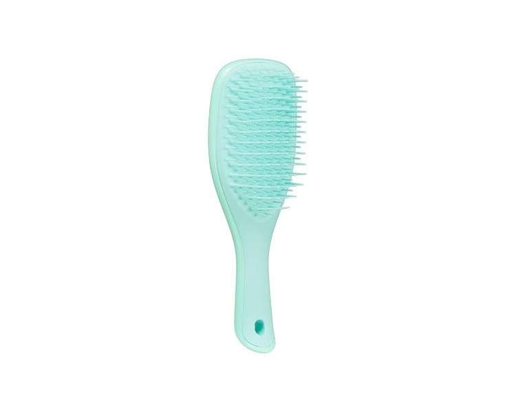 Tangle Teezer The Wet Detangler Mini Sea Green - Hair Brush