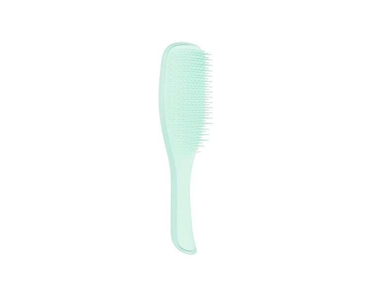 Tangle Teezer Hair Brush Wet Detangler Fine & Fragile Mint