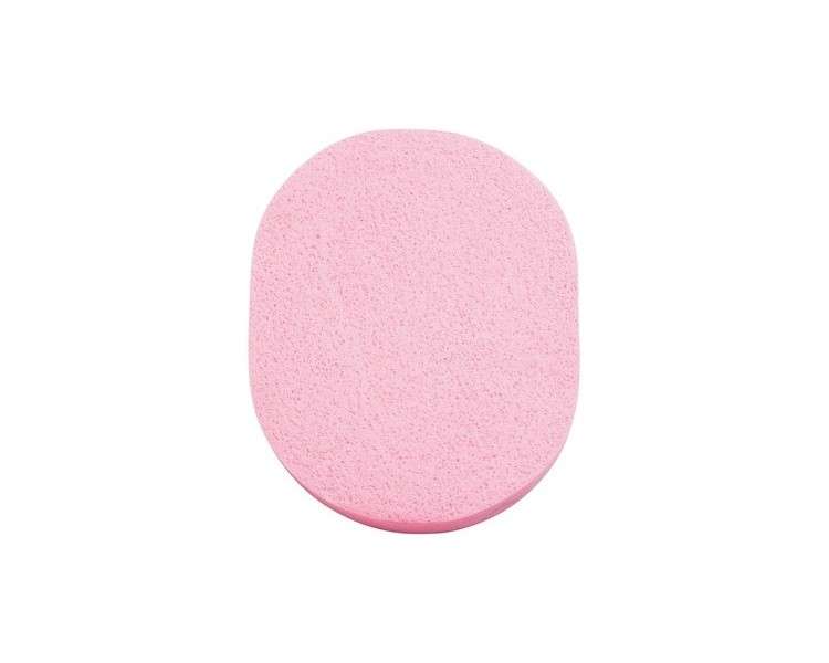 Peggy Sage Makeup Remover Sponge 30g