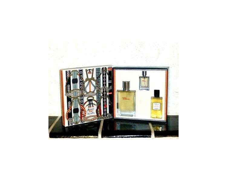 Hermes Terre D'Hermes Givree Set EDP 100ml + 12.5ml EDP + 80ml DG