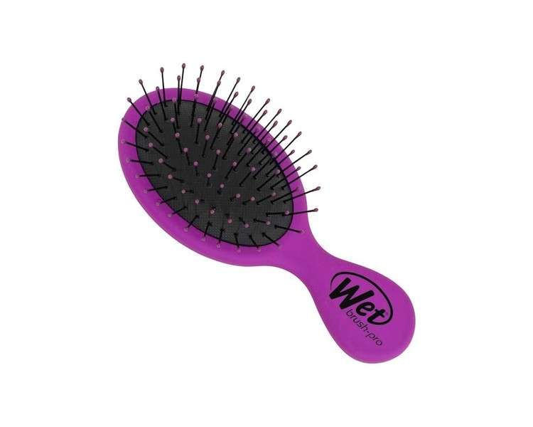 Wet Brush Squirt Detangler Hair Brush with Soft IntelliFlex Bristles Mini Travel Voilet Purple