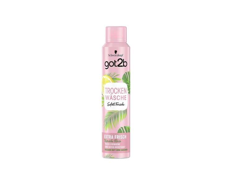 got2b Dry Shampoo DRY WASH Extra Fresh 200ml