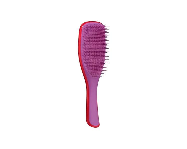 Tangle Teezer The Ultimate Detangler Hairbrush for Wet and Dry Hair Two-Tiered Teeth and Comfortable Handle Morello Cherry and Violet