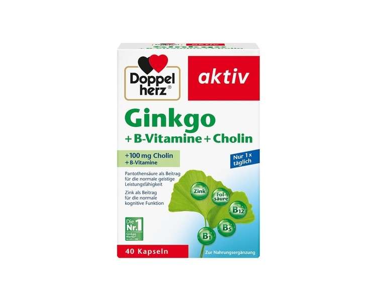 Doppelherz Ginkgo + B Vitamins + Choline with Pantothenic Acid for Normal Mental Performance 40 Capsules