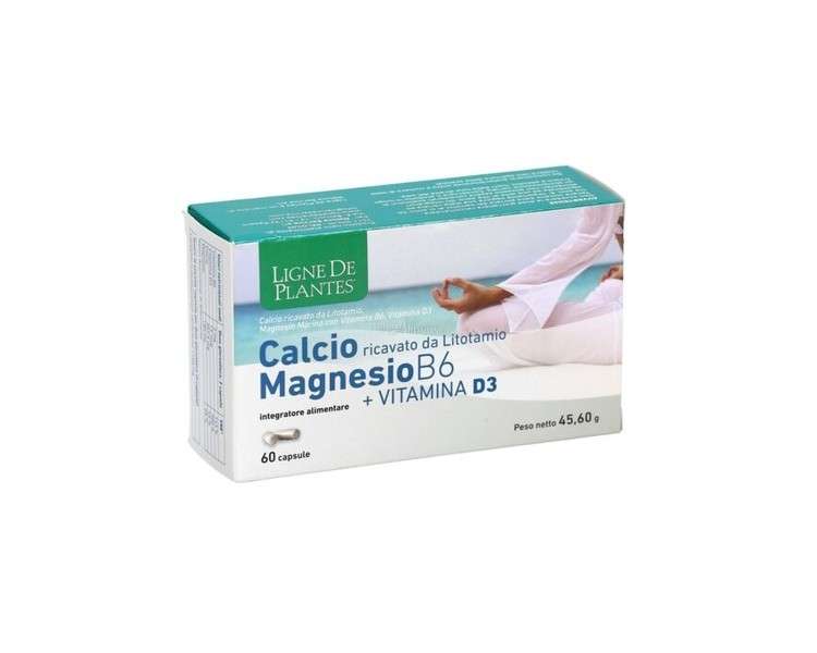 Ligne De Plantes Calcium Magnesium B6 Vitamin D3 Dietary Supplement