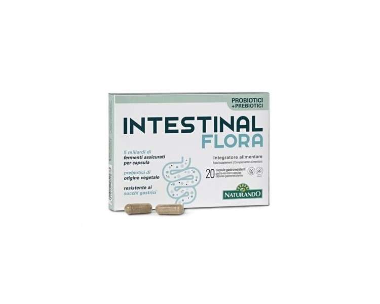 NATURANDO Intestinal Flora Probiotics Supplement 20 Capsules