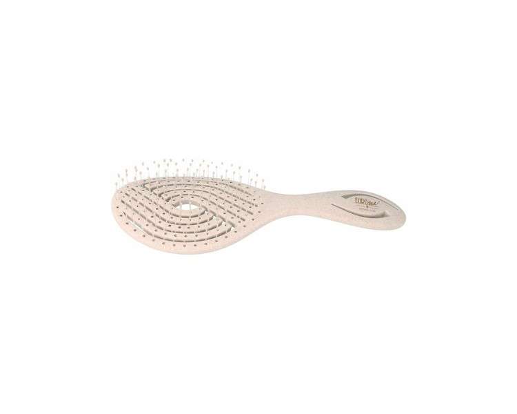 Oval Eurostile Brush