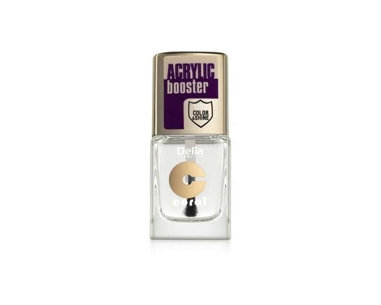 Delia Acrylic Booster Top Coat for Extended Durability and Glossy Finish
