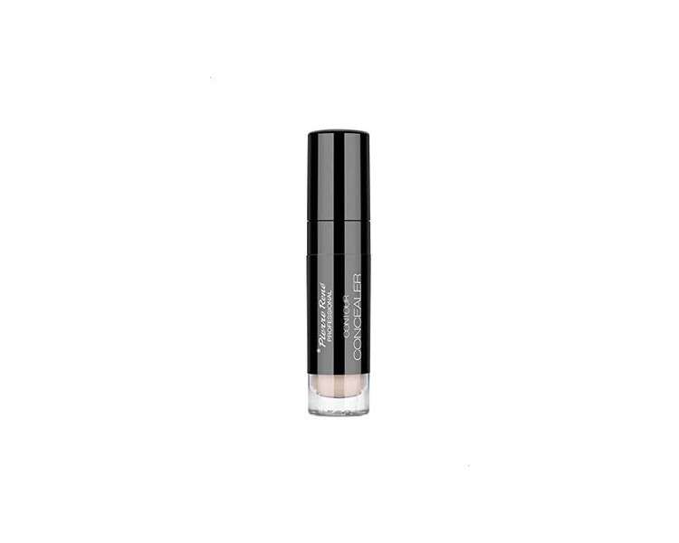 Pierre Rene Contour Concealer 04