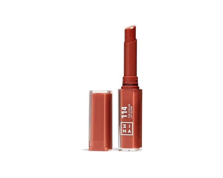 3INA MAKEUP The Color Lip Glow 114 Terracotta Brown Lip Balm with Shea Butter 1.60g