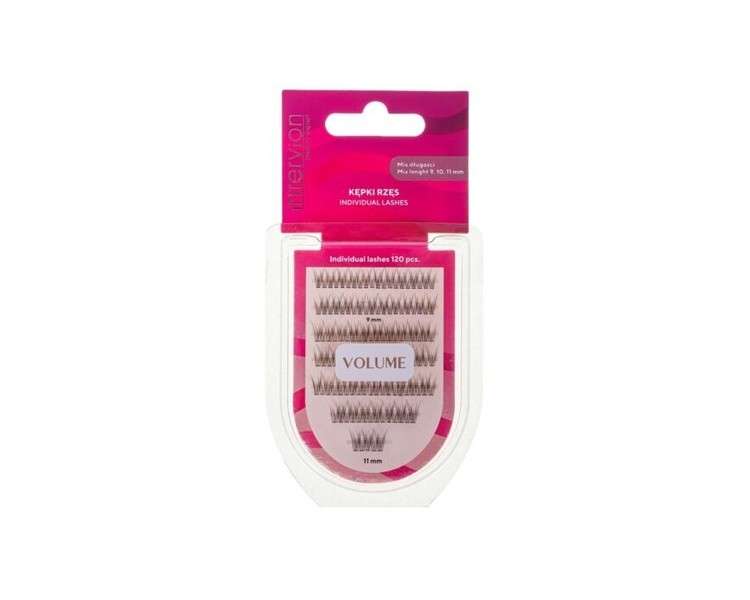 Inter Vion Artificial Eyelashes Clusters Mix 9/10/11 120pcs