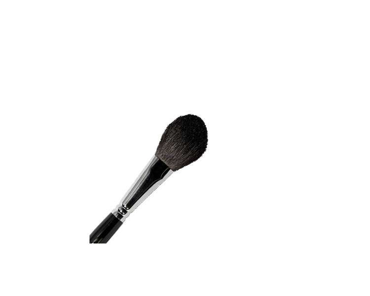 Parisax Blush Brush 20x40mm