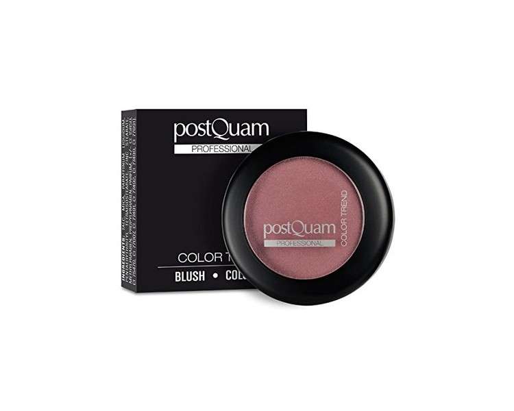 Postquam Color Trend Blush Watercolor Powder 10g