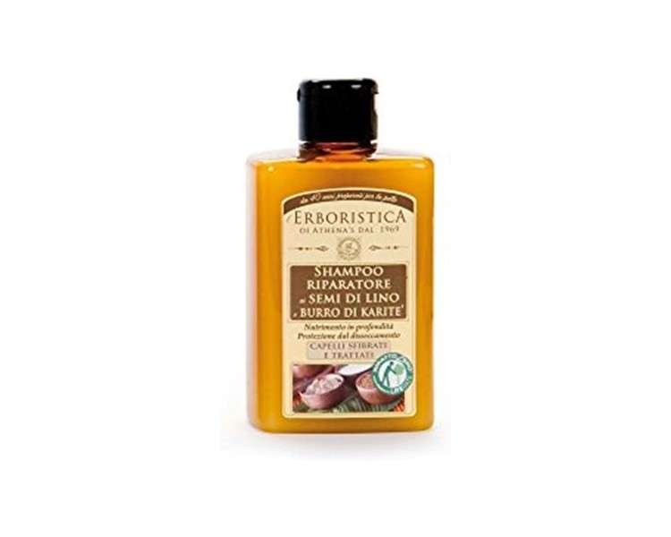 Shampoo for Dry Hair with Flaxseed and Shea Butter 300ml