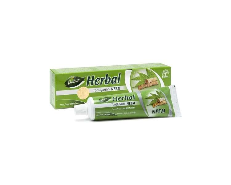 AYURVEDA Toothpaste 100ml