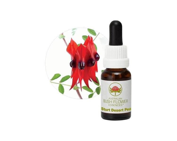 Sturt Desert Pea 15ml Stockbottle Australian Bush Flower Essences