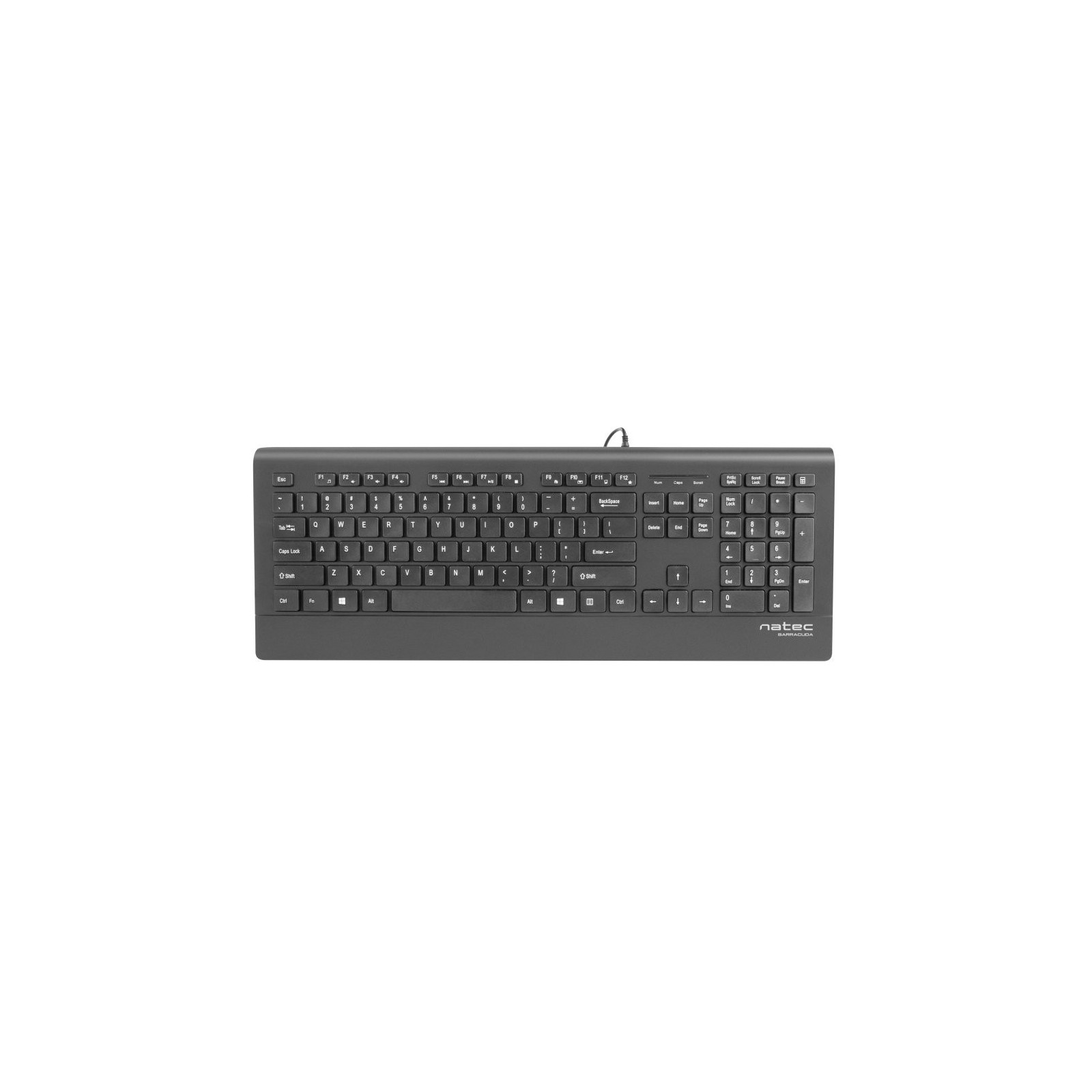 Teclado natec barracuda slim layout espanol