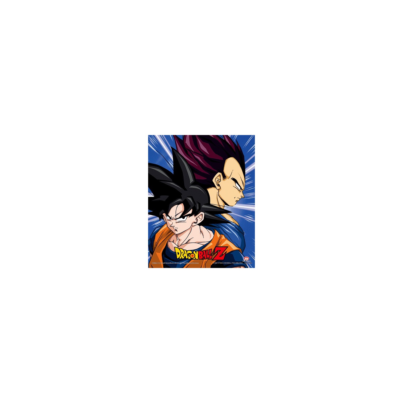 CUADRO 3D DRAGON BALL Z  (PROTECTORS & DESTROYERS)