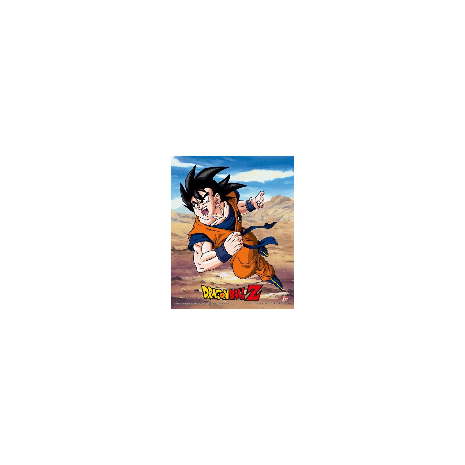 POSTER 3D DRAGON BALL Z RIVALRY OF POWER