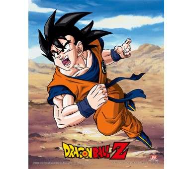 POSTER 3D DRAGON BALL Z RIVALRY OF POWER